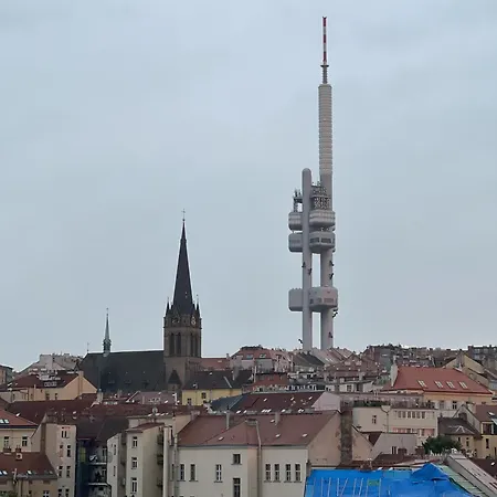Cozy Garden In The Heart Of Appartement Praag