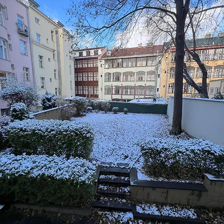 Cozy Garden In The Heart Of